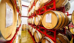 MEAD MYTHS DEBUNKED: SEPARATING FACT FROM FICTION