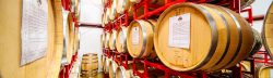 BARREL AGING 101: HOW WOOD SHAPES THE FLAVOR OF OUR MEADS
