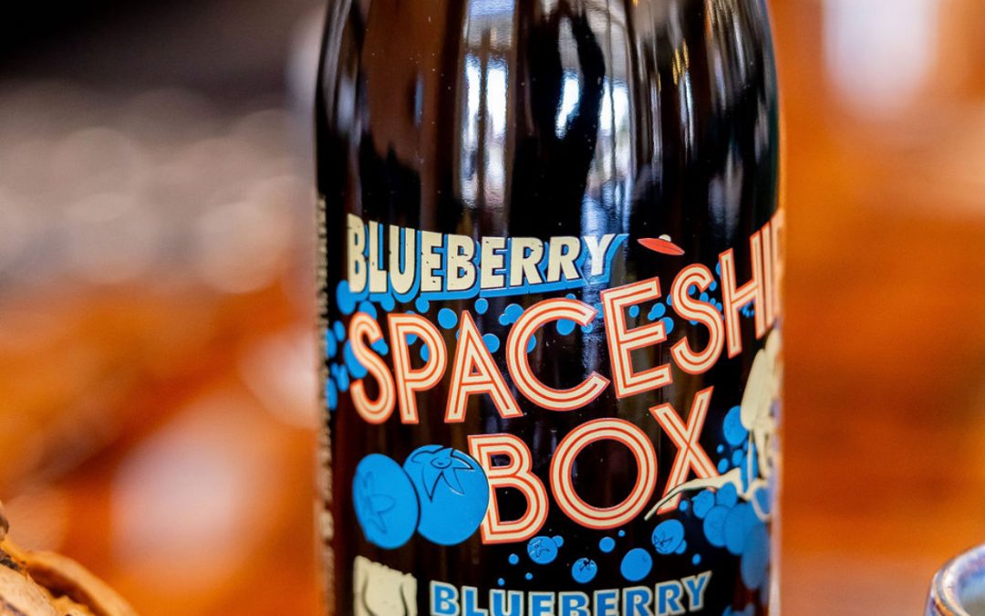 BLUEBERRY SPACESHIP BOX AT COSTCO!