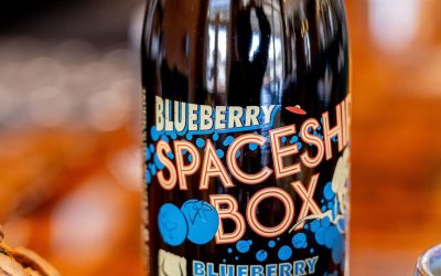 BLUEBERRY SPACESHIP BOX AT COSTCO!